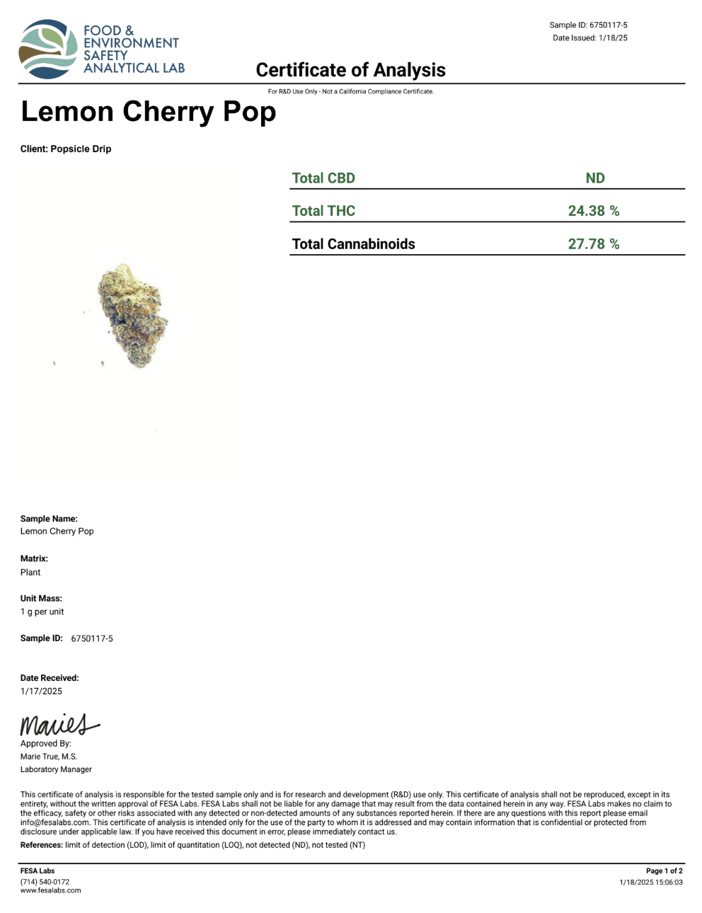 Lemon Cherry Pop 14G (0.5OZ)